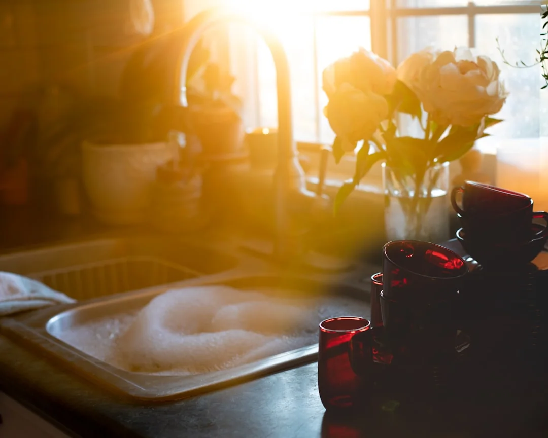 Cleaning time 🧼🤚 -- Thanks for visiting! Donations help & motivate me to keep uploading more 📸s. Even a buck or two helps. ➡️ https://www.buymeacoffee.com/uniqueton Found my photos useful? feel free to contact me about anything at email: uniquetonshots@gmail.com IG: @uniquetonshots